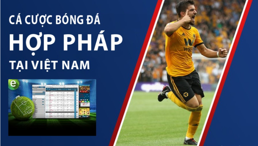 cá độ bóng đá hợp pháp