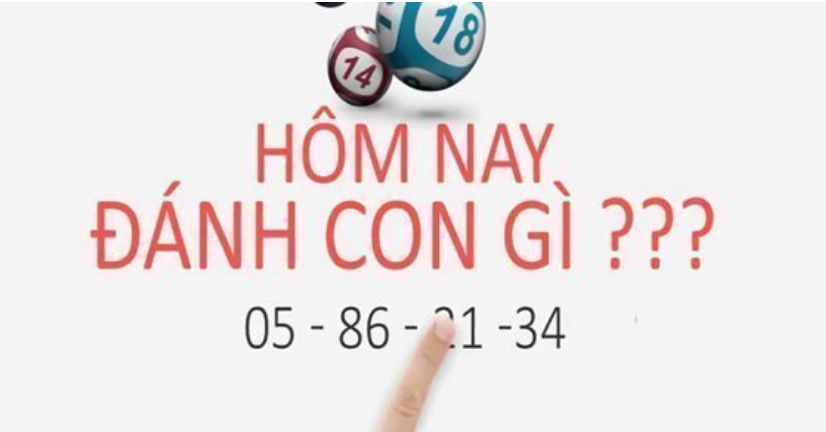 Đề hôm nay về con gì