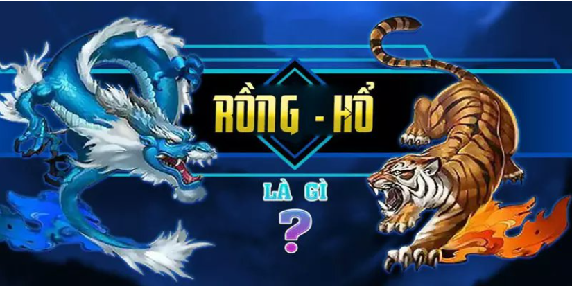 Rồng hổ Onbet